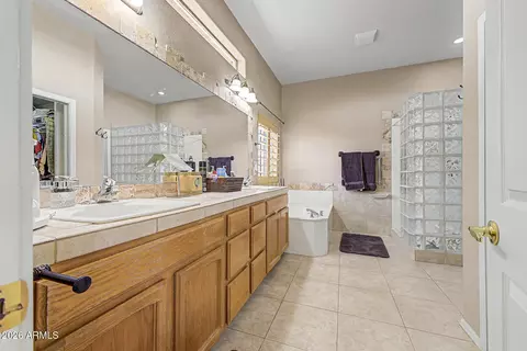 Bath - 11547 E Medina Ave, Mesa, AZ 85209 photo 1 of 4