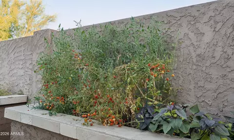 Other - 30923 N 25th Dr, Phoenix, AZ 85085 photo 11 of 11