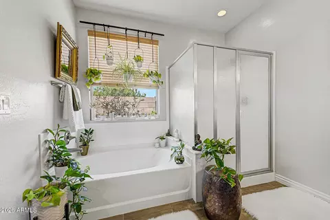 Bath - 2688 E Daniel Dr, Gilbert, AZ 85298 photo 2 of 5