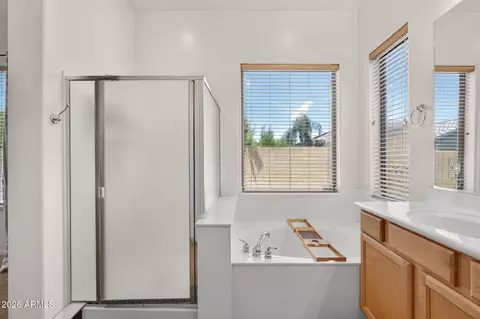 Bath - 3282 E Lowell Ave, Gilbert, AZ 85297 photo 5 of 5