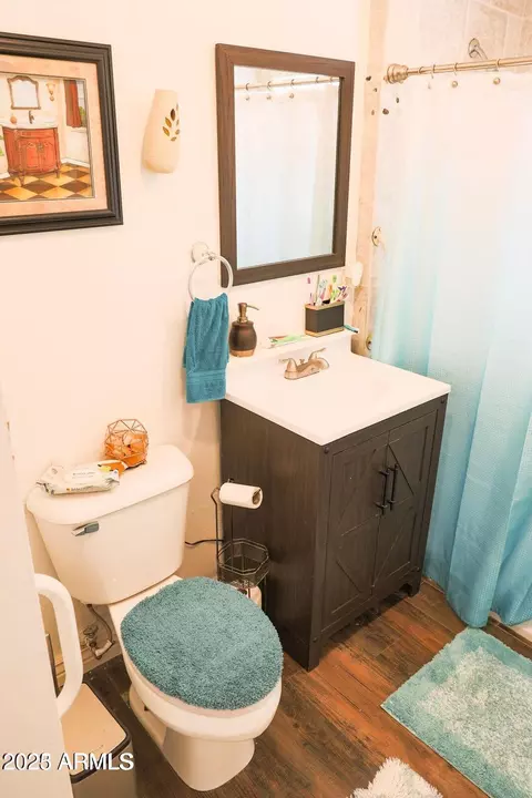 Bath - 2209 N Beki Ln, Douglas, AZ 85607 photo 1 of 3