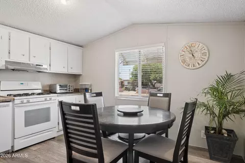3916 E Birchwood Ave, Mesa, AZ 85206 photo 8
