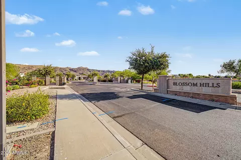 2923 E Constance Way, Phoenix, AZ 85042 photo 45