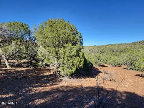 918 Wolf Rd #918, Ash Fork, AZ 86320 photo 9