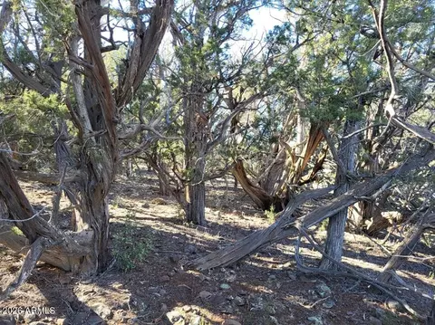 918 Wolf Rd #918, Ash Fork, AZ 86320 photo 3