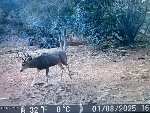 918 Wolf Rd #918, Ash Fork, AZ 86320 photo 13