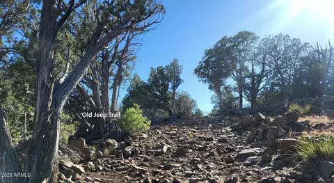 918 Wolf Rd #918, Ash Fork, AZ 86320 photo 11