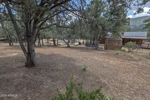 3943 N Pine Rd, Pine, AZ 85544 photo 31