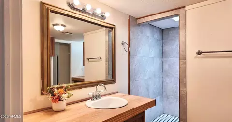Bath - 647 S Moonlight Dr, Payson, AZ 85541 photo 5 of 5