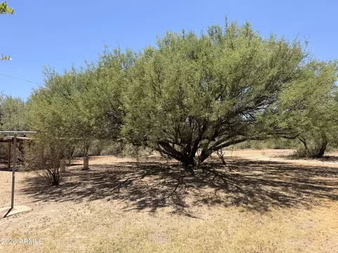 Exterior - 221 E Patton St, Saint David, AZ 85630 photo 3 of 12
