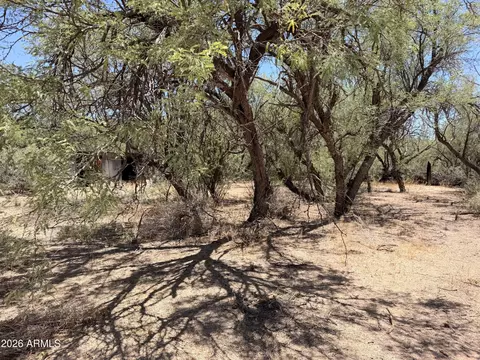 Exterior - 221 E Patton St, Saint David, AZ 85630 photo 9 of 12