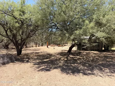 Exterior - 221 E Patton St, Saint David, AZ 85630 photo 10 of 12