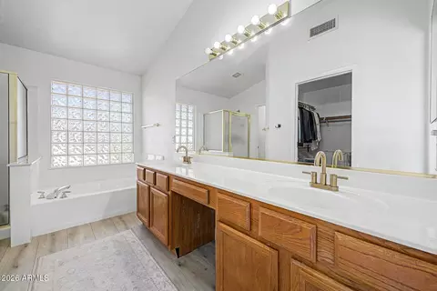 Bath - 372 E Arabian Dr, Gilbert, AZ 85296 photo 2 of 4