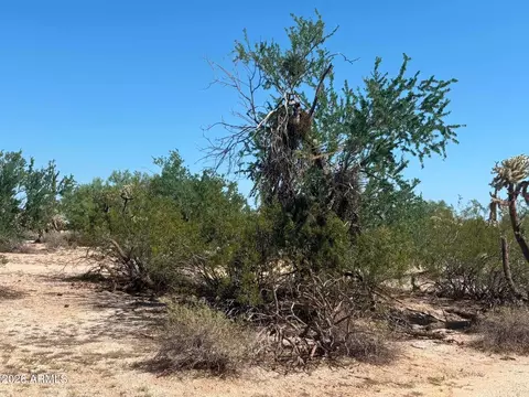 0 N Biznaga St #-, Florence, AZ 85132