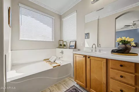 Bath - 4343 E Vaughn Ave, Gilbert, AZ 85234 photo 1 of 1