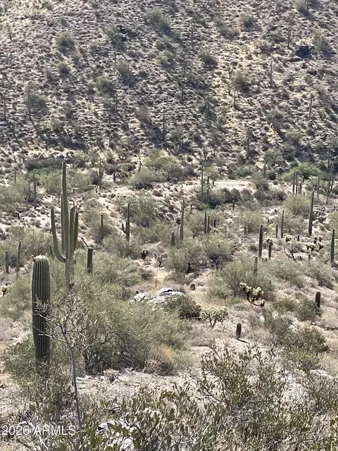 3246 N Silver Tip Trl #-, Queen Valley, AZ 85118