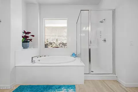 Bath - 1122 E Monte Way, Phoenix, AZ 85042 photo 1 of 4
