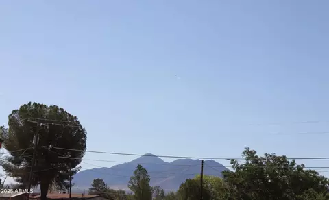 9647 E Joy Ave, Hereford, AZ 85615 photo 52
