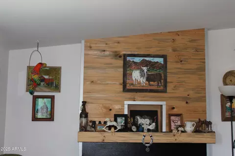 9647 E Joy Ave, Hereford, AZ 85615 photo 23