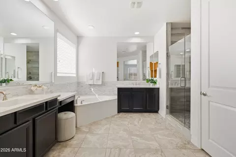 Bath - 3889 E Chestnut Ln, Gilbert, AZ 85298 photo 2 of 5