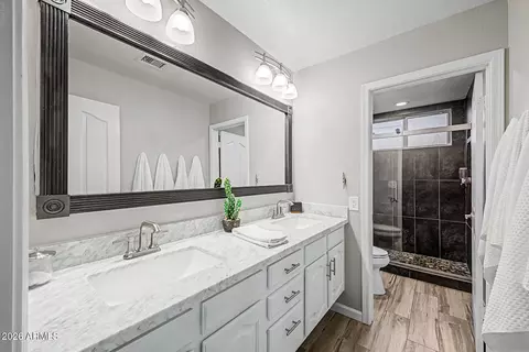 Bath - 1149 W Iris Dr, Gilbert, AZ 85233 photo 4 of 5