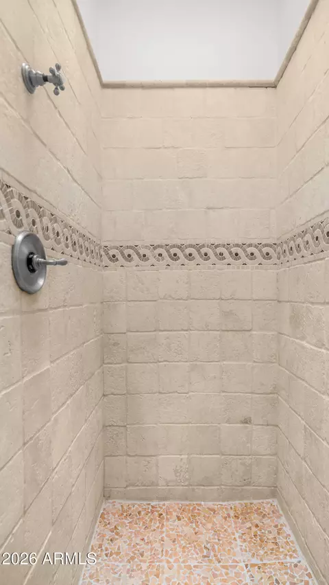 Bath - 1744 E Desert Willow Dr, Phoenix, AZ 85048 photo 8 of 9