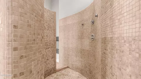 Bath - 1744 E Desert Willow Dr, Phoenix, AZ 85048 photo 2 of 9