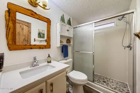 2191 Gingerbread Ln, Overgaard, AZ 85933 photo 9