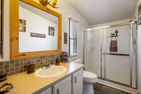 2191 Gingerbread Ln, Overgaard, AZ 85933 photo 7