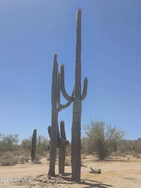 1523 S Warren Rd #81, Maricopa, AZ 85139