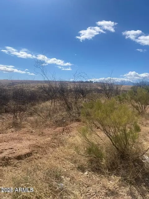 tbd Mountain Vw #E, Huachuca City, AZ 85616