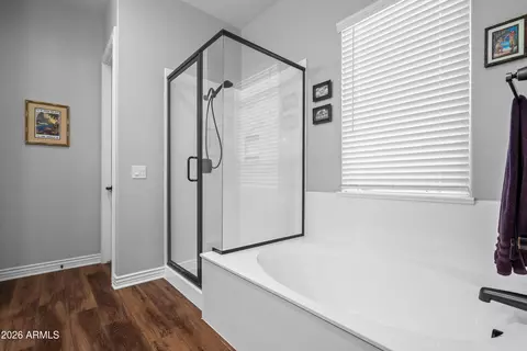 Bath - 3934 E Spring Wheat Ct, Gilbert, AZ 85296 photo 1 of 2