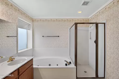 Bath - 1765 N Abner --, Mesa, AZ 85205 photo 4 of 5