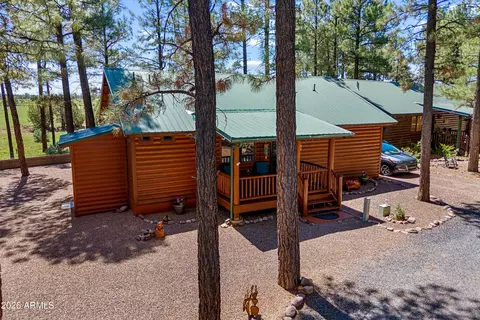 Exterior - 2715 High Pine Loop, Overgaard, AZ 85933 photo 12 of 13
