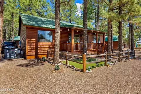 Exterior - 2715 High Pine Loop, Overgaard, AZ 85933 photo 10 of 13