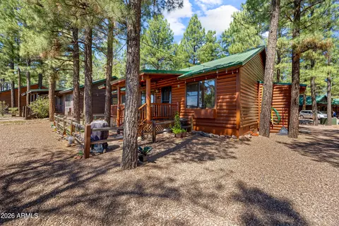 Other - 2715 High Pine Loop, Overgaard, AZ 85933 photo 3 of 17