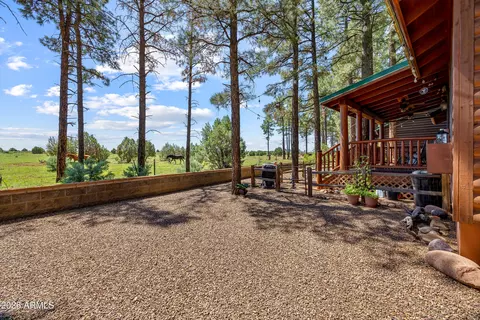Other - 2715 High Pine Loop, Overgaard, AZ 85933 photo 4 of 17