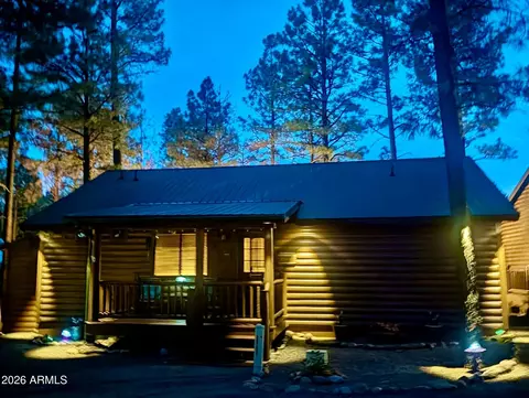 Exterior - 2715 High Pine Loop, Overgaard, AZ 85933 photo 13 of 13