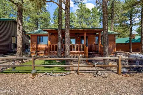 Exterior - 2715 High Pine Loop, Overgaard, AZ 85933 photo 9 of 13