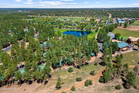 View/Area - 2715 High Pine Loop, Overgaard, AZ 85933 photo 2 of 3