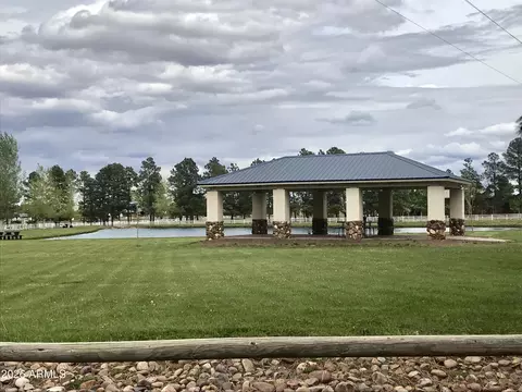 Other - 2715 High Pine Loop, Overgaard, AZ 85933 photo 10 of 17