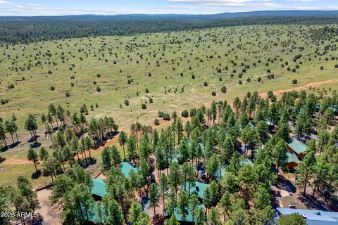 View/Area - 2715 High Pine Loop, Overgaard, AZ 85933 photo 1 of 3