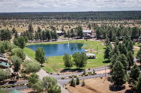 Other - 2715 High Pine Loop, Overgaard, AZ 85933 photo 12 of 17