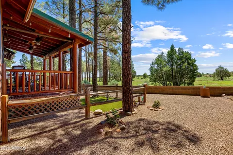 Exterior - 2715 High Pine Loop, Overgaard, AZ 85933 photo 11 of 13
