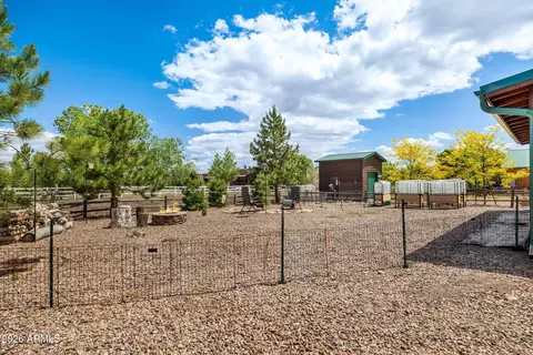 Exterior - 2336 Buffalo Loop N, Overgaard, AZ 85933 photo 10 of 11