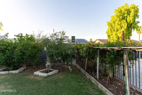 Exterior - 1730 E Impala Ave, Mesa, AZ 85204 photo 5 of 6