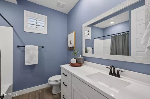 Bath - 9847 E Resistance Ave, Mesa, AZ 85212 photo 4 of 4
