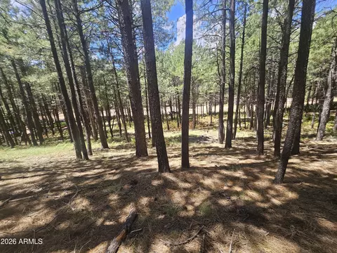 589 Trout Springs Rd #71, Forest Lakes, AZ 85931