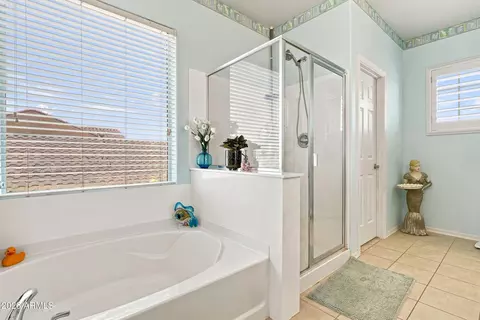 Bath - 2905 E Meadowview Dr, Gilbert, AZ 85298 photo 1 of 4