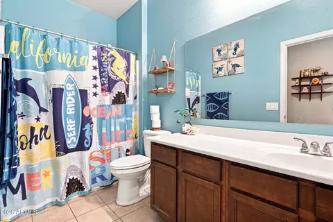 Bath - 2905 E Meadowview Dr, Gilbert, AZ 85298 photo 3 of 4